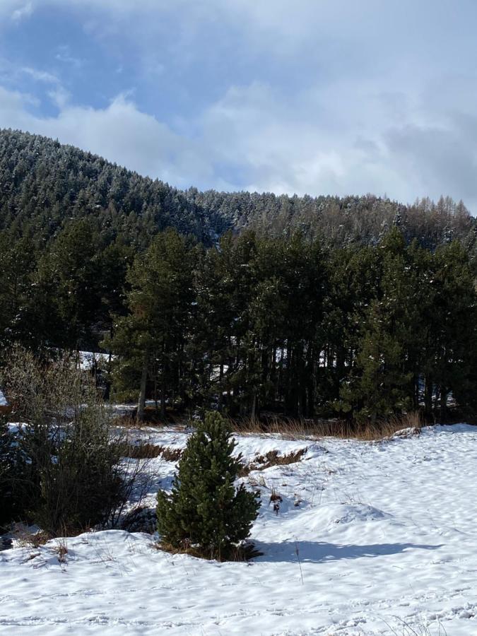 Chalet Au Pieds Des Pistes Le Cambre Aze Bolquere Pyrenees 2000 Kültér fotó